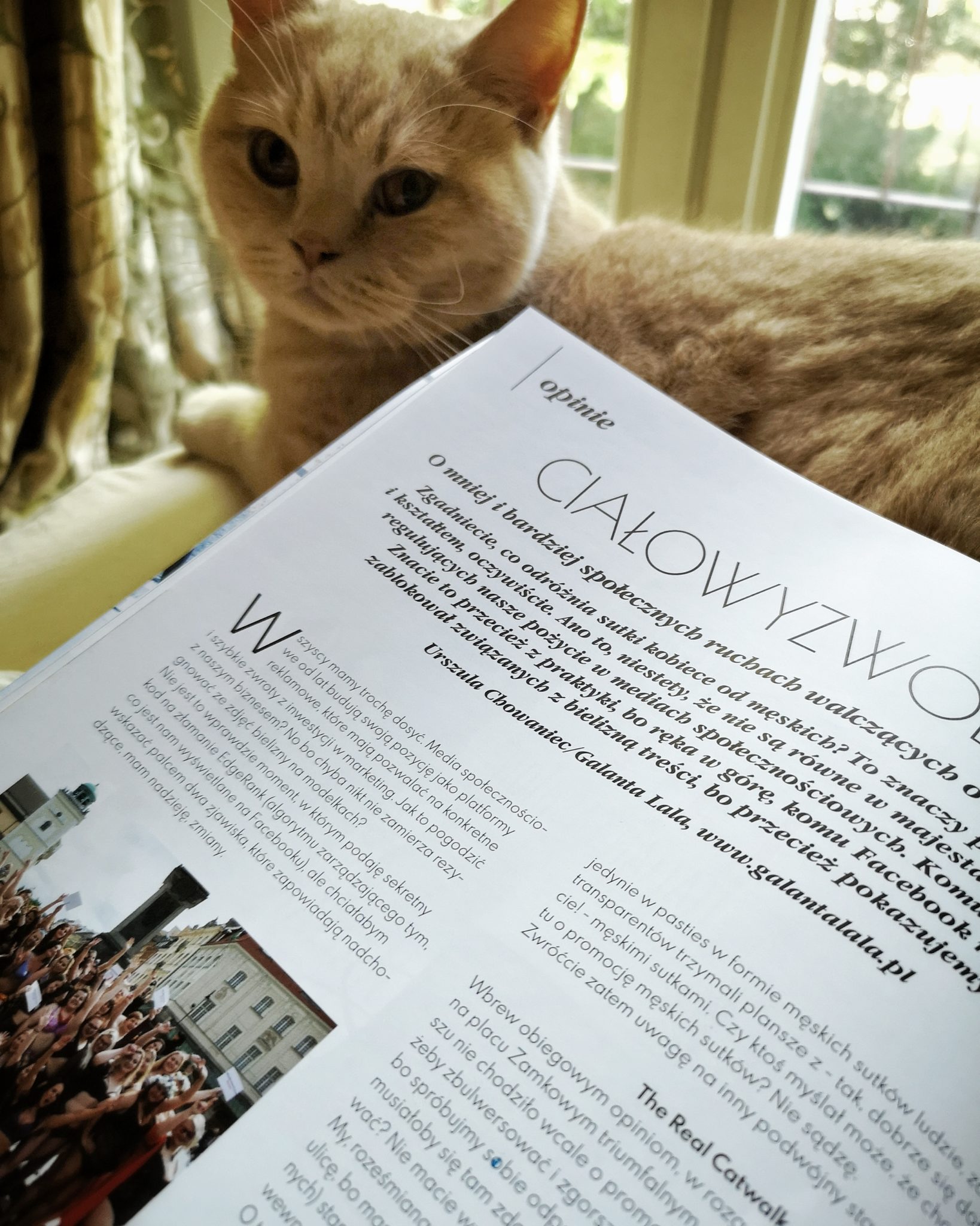na pierwszym planie magazyn Modna Bielina otwarty na artykule "Ciałowyzwolenie", w tle kremowy pan kotek i okno balkonowe
